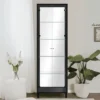 ALBI Vitrinekast met 2 deuren - Zwart - 33x62x189 cm