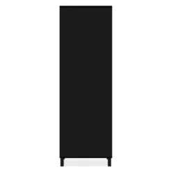 ALBI Vitrinekast met 2 deuren - Zwart - 33x62x189 cm