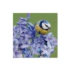 Art for the Home Buitencanvas Vogel op een bloem 70x50cm