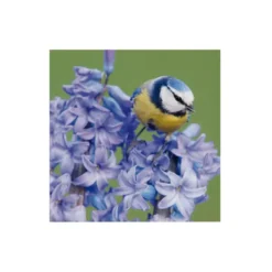 Art for the Home Buitencanvas Vogel op een bloem 70x50cm