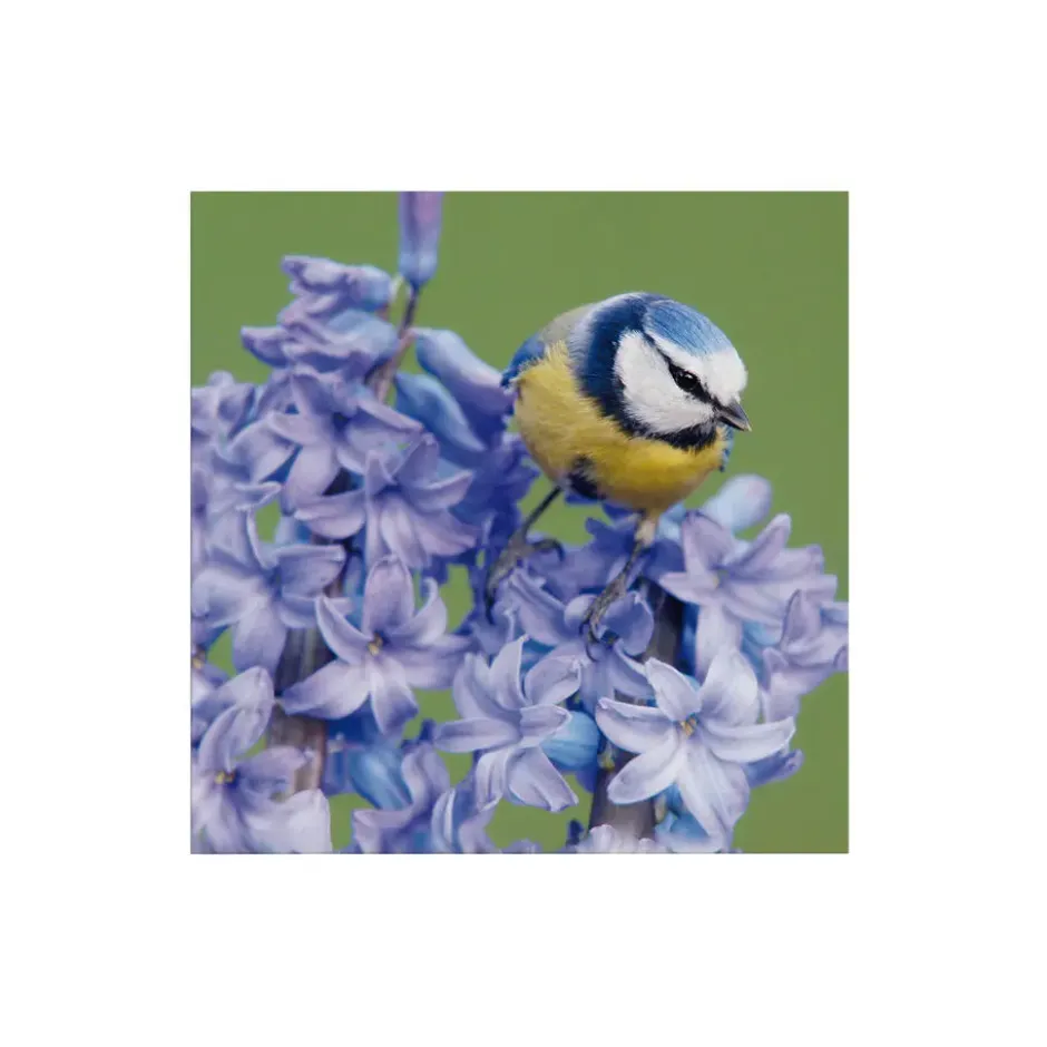Art for the Home Buitencanvas Vogel op een bloem 70x50cm