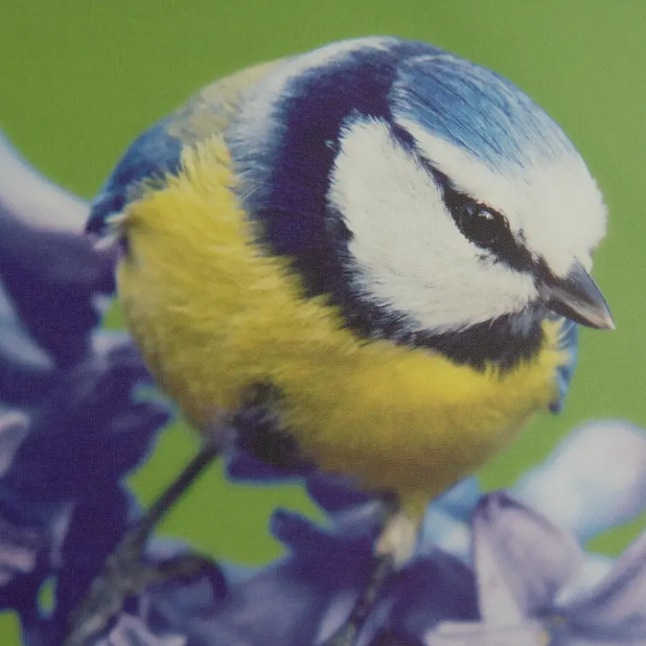 Art for the Home Buitencanvas Vogel op een bloem 70x50cm