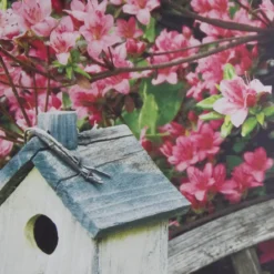 Art for the Home Buitencanvas Vogelhuisje 70x50cm