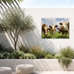 Art for the Home Buitencanvas Koeien 70x50cm