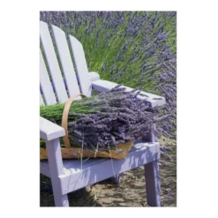 Art for the Home Buitencanvas Lavendel 70x50cm