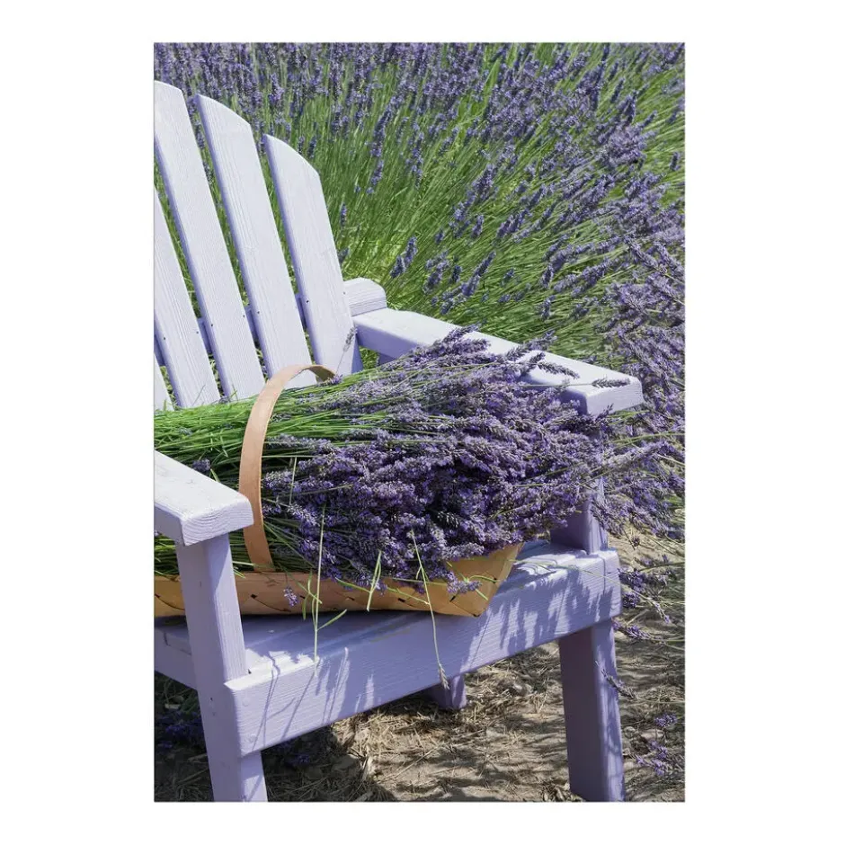 Art for the Home Buitencanvas Lavendel 70x50cm