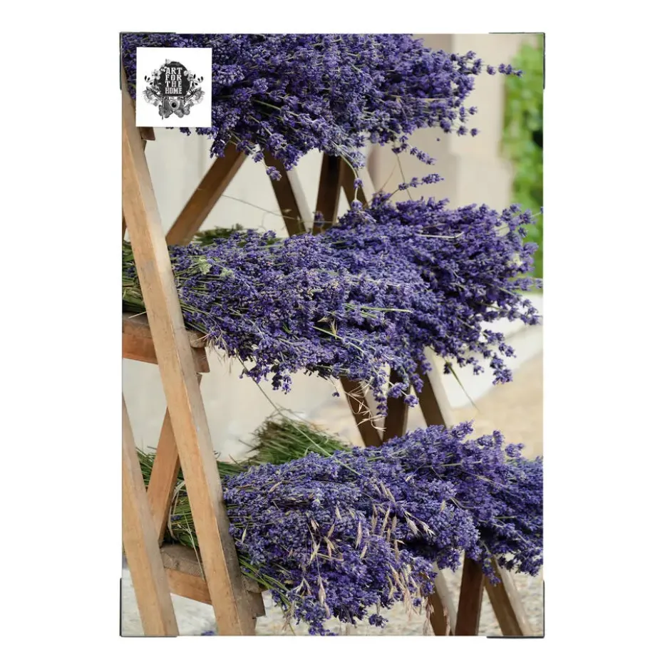 Art for the Home Buitencanvas Gedroogde Lavendel 70x50cm