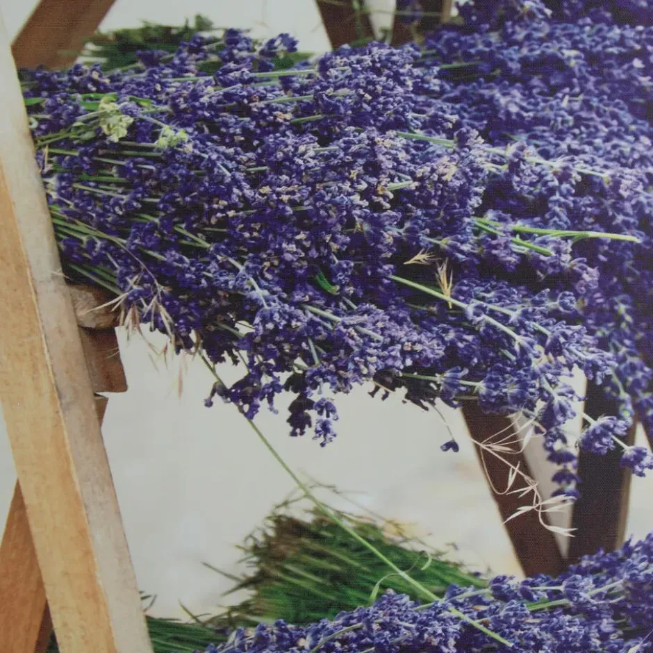 Art for the Home Buitencanvas Gedroogde Lavendel 70x50cm