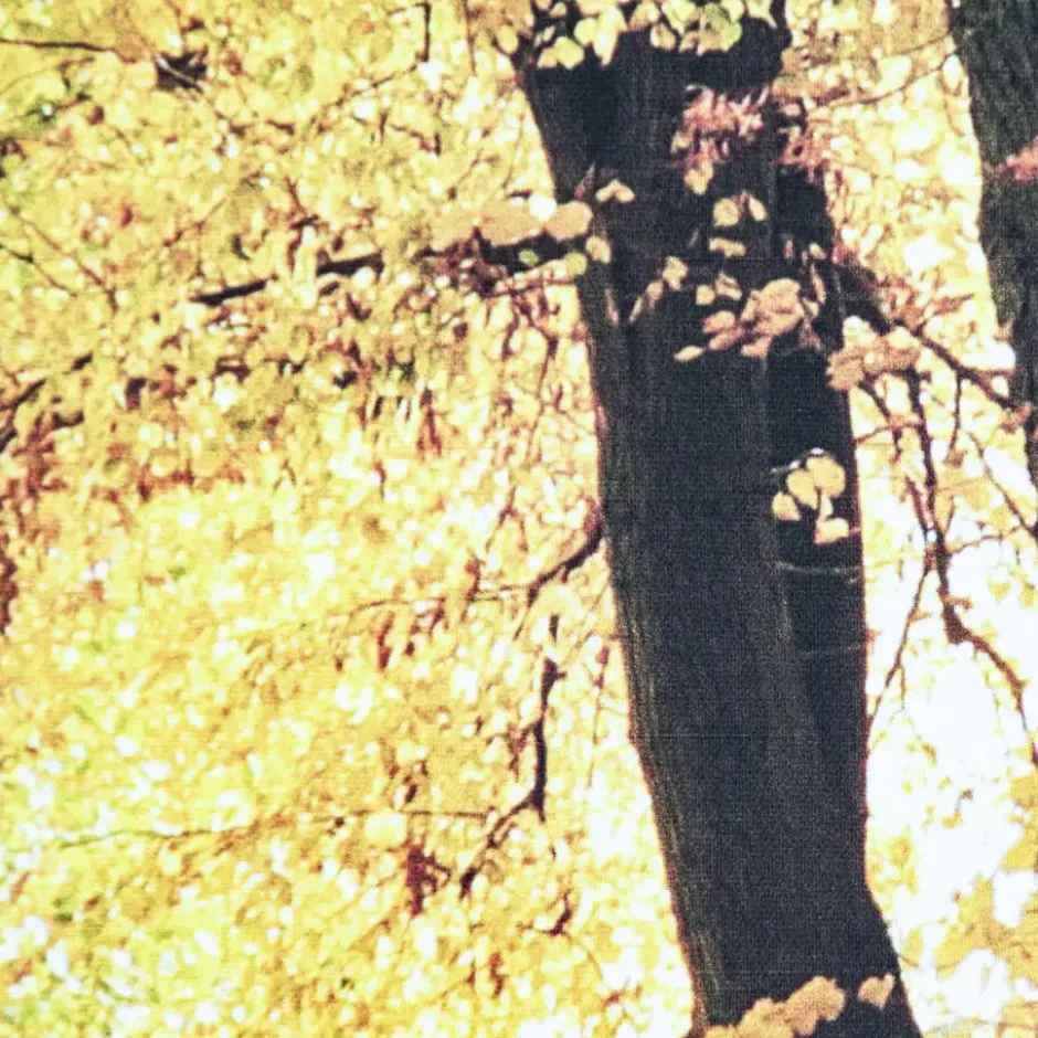 Art for the Home Herfst Canvas 75x100cm
