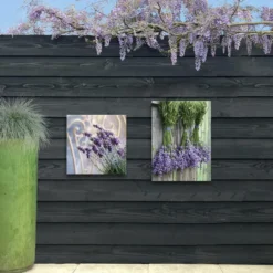 Art for the Home Lavendel Buitencanvas 70x50 cm