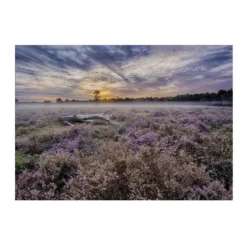 Art for the Home Lavendelveld Buitencanvas 50x70 cm