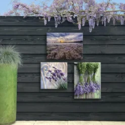 Art for the Home Lavendelveld Buitencanvas 50x70 cm