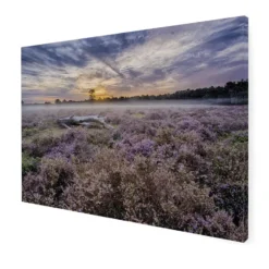 Art for the Home Lavendelveld Buitencanvas 50x70 cm