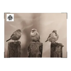 Art for the Home Vroege Vogels Buitencanvas Sepia 50x70 cm
