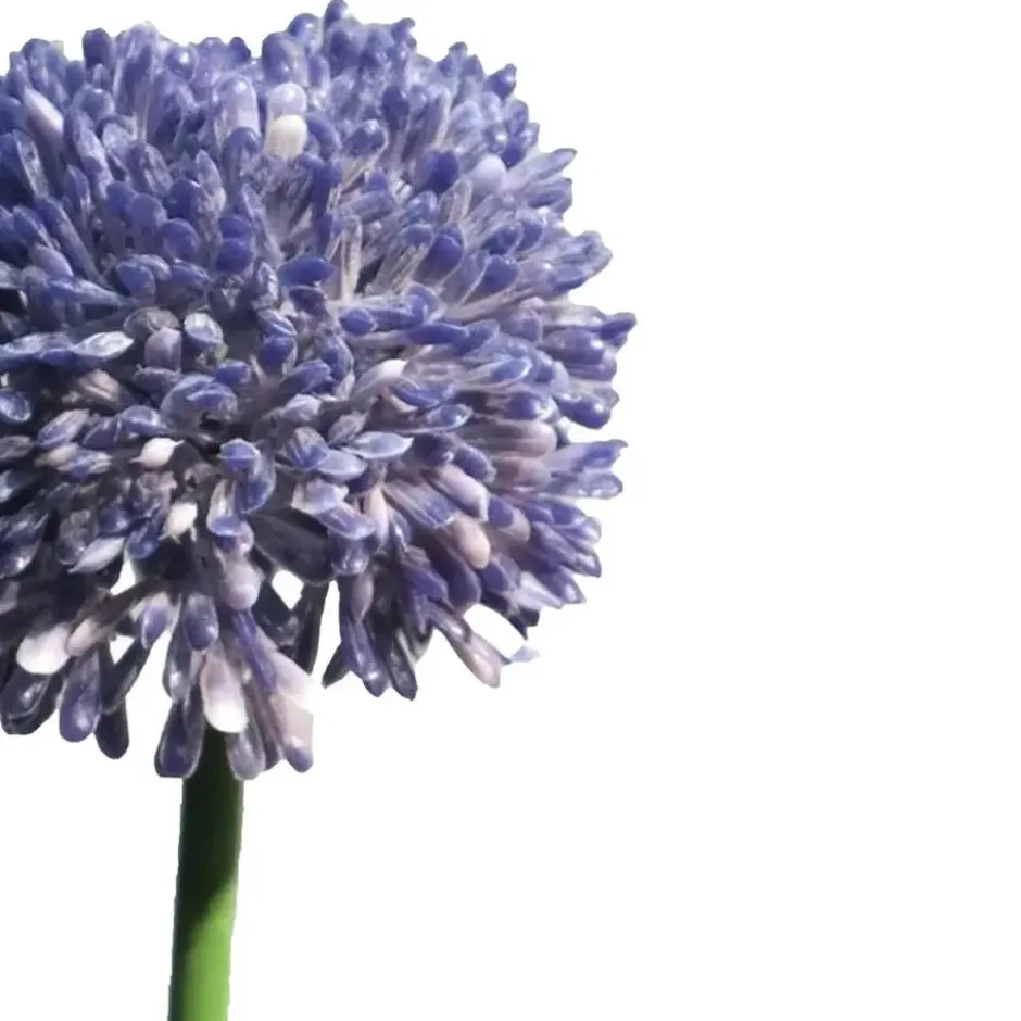 Bellatio Design Allium kunstbloem - stelen - paars - 44 cm