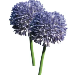 Bellatio Design Allium kunstbloem - stelen - paars - 44 cm