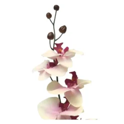 Bellatio Design Kunstbloem Orchidee Milan - wit/roze - 78cm