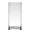 Bellatio Design Vaas Home Basics - cilinder - glas - 12 x 35 cm