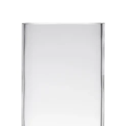 Bellatio Design Vaas Home Basics - cilinder - glas - 12 x 35 cm