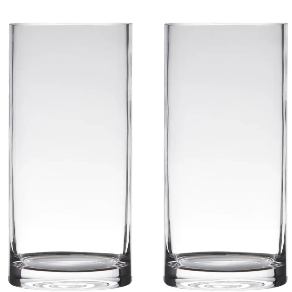 Bellatio Design Vaas Home Basics - cilinder - glas - 12 x 35 cm