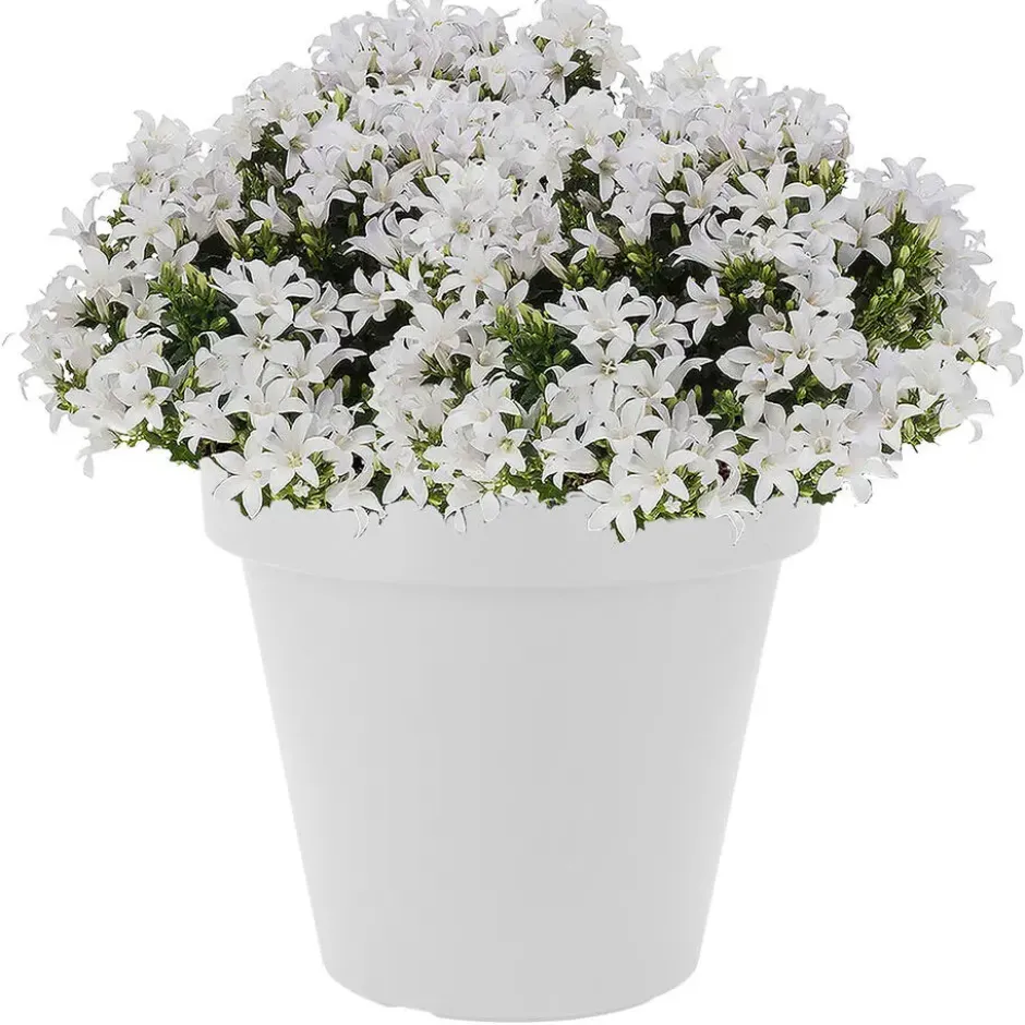 Bloempot - wit - kunststof - rond - 30 cm