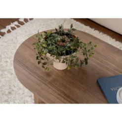 Calicosy - IRIS Ovale salontafel L119 cm - Walnoot - 60x119x39,8 cm