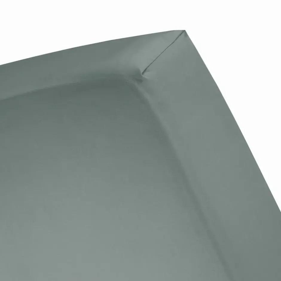 Cinderella - Hoeslaken - Tot 25 cm matrashoogte - Jersey - 120x200 cm - Groen
