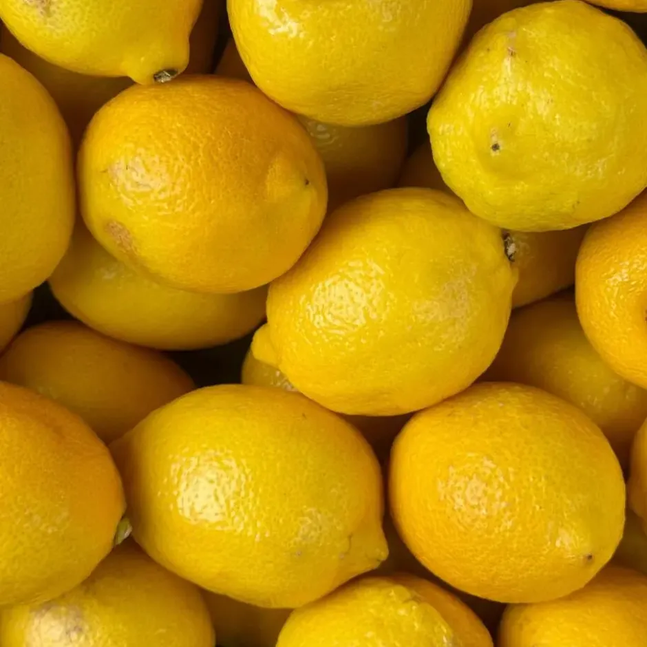 Citronella geur theelichtjes - Citrusgeur - 24x stuks