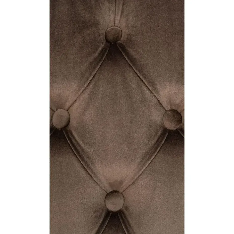 CLP Eetkamerstoel Lisburn walnoot Frame - Fluweel - bruin