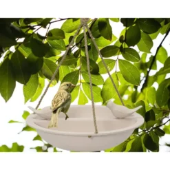 Decoris Vogelbad - bamboe hout - creme wit - drinkschaal - 27 cm