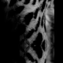 Deurmat Cheetah antraciet/blauw - 50x150 cm