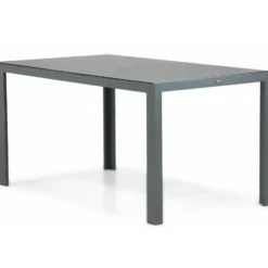 Dining Tuintafel rechthoekig 150 x 85 cm Grijs Venustas