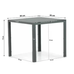 Dining Tuintafel vierkant 85 x 85 cm Grijs Venustas