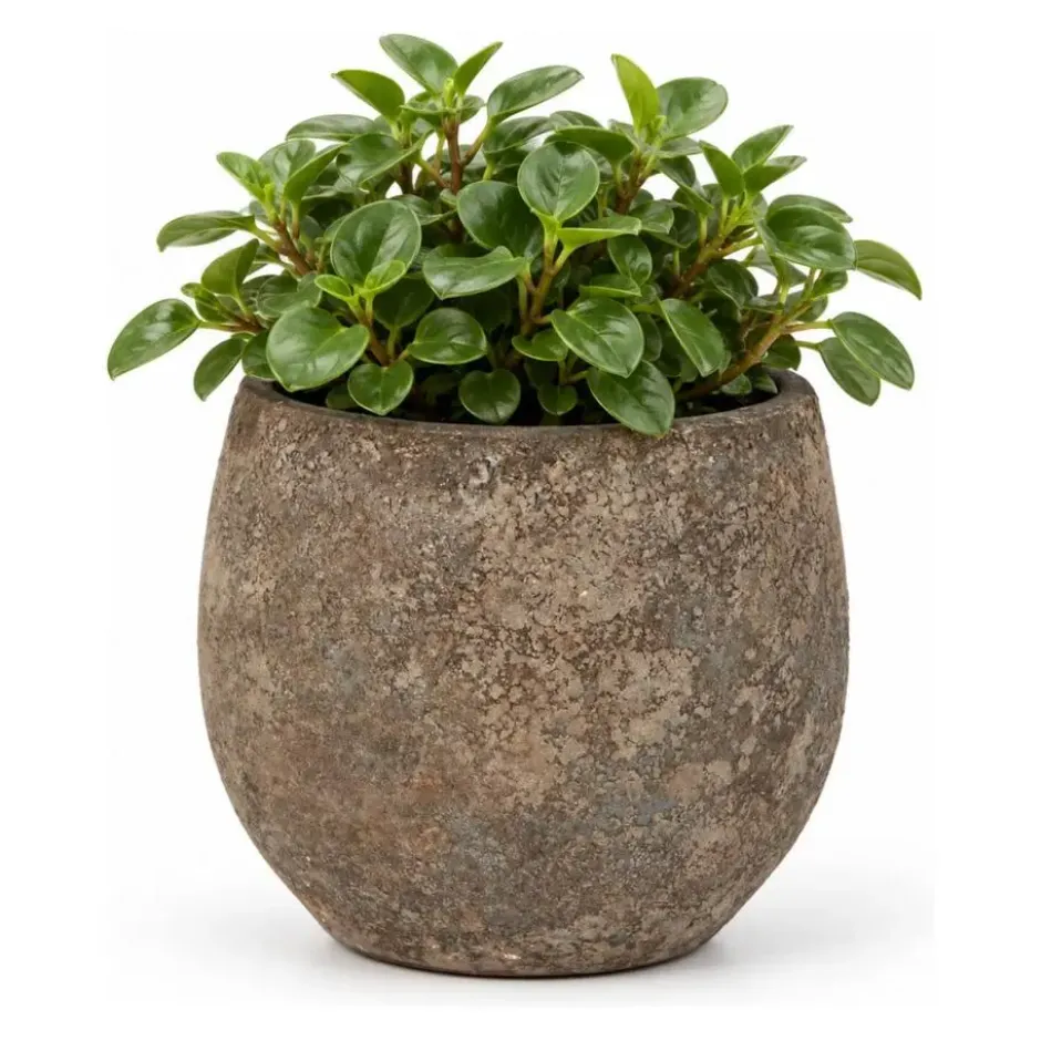 DK Design Bloempot model Maya - roestbruin - D14xH16 cm - rustiek