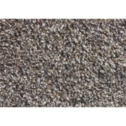 Droogloopmat Aquastop 40x60cm beige