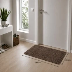 Droogloopmat Aquastop 60x100cm bruin