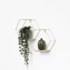 Dubbel zeshoekig metalen wandrek met 2 houten plankjes - 30,5x41 cm - Goud