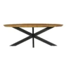 Eettafel Ovaal Naturel Mangohout - 300x110x76cm - Brandy