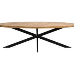 Eettafel Travis ovaal - mangohout - 240x120 cm