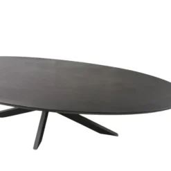 Eettafel Zwart Hout/Metaal - 300x120x76cm - Brandy