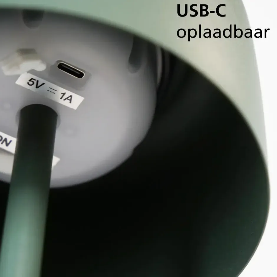 EGLO Roccanova-L Vloerlamp - Solar - 120 cm - Groen - Oplaadbaar
