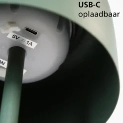EGLO Roccanova-L Vloerlamp - Solar - 120 cm - Groen - Oplaadbaar