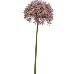 Emerald Emerald Allium/Sierui kunstbloem - lila - 62 cm
