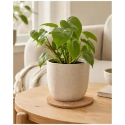 Esschert Design plantenpot onderzetter - kurk - D25 x 1 cm