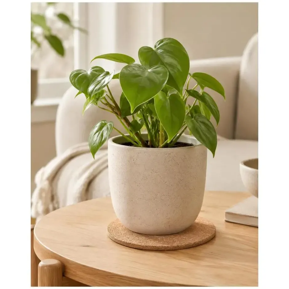 Esschert Design plantenpot onderzetter - kurk - D25 x 1 cm