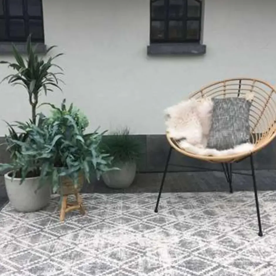 Eva Interior Buiten vloerkleed - Frost - Grijs/Wit- 200x290 cm