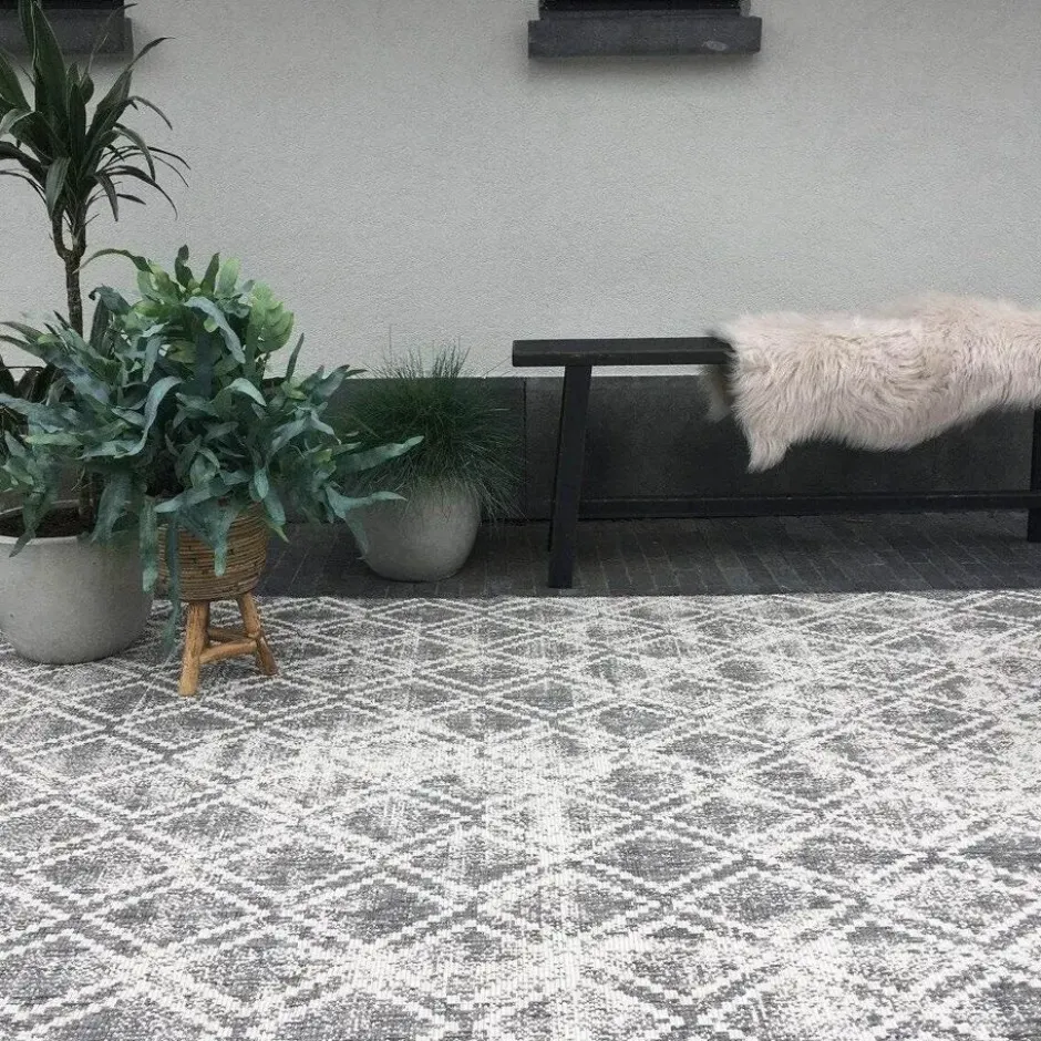 Eva Interior Buiten vloerkleed - Frost - Grijs/Wit- 200x290 cm
