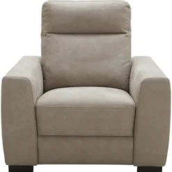 Fauteuil James - lederlook - zilvergrijs
