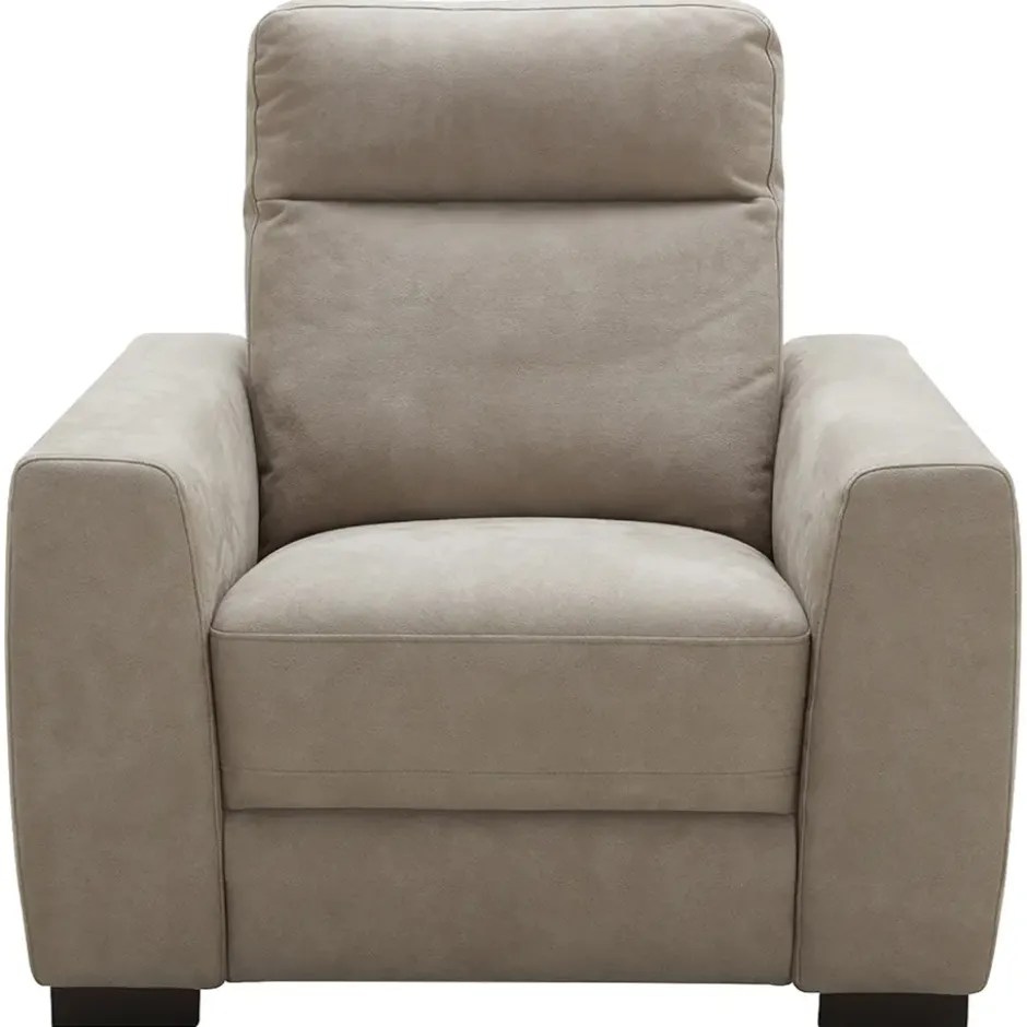 Fauteuil James - lederlook - zilvergrijs