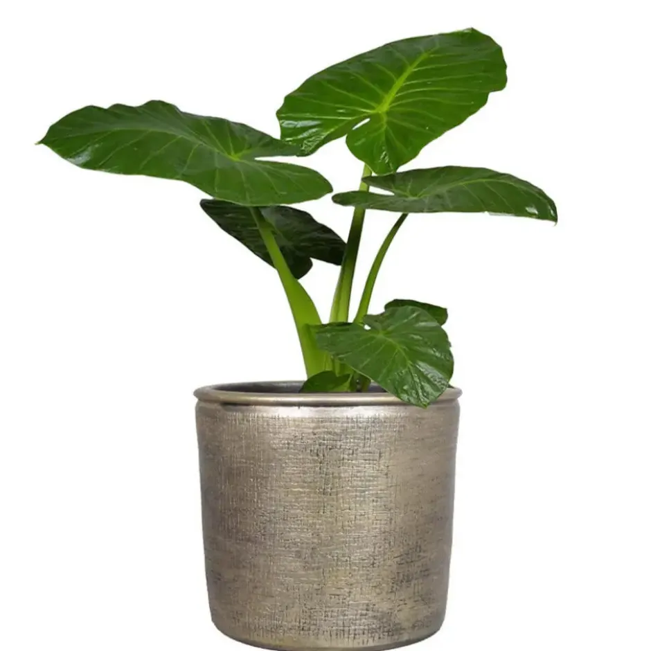 Floran Bloempot - industrieel - goud - keramiek met coating - 12 cm